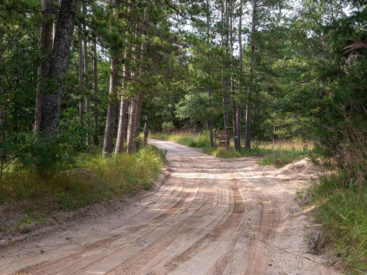 FS 3101 trail photo
