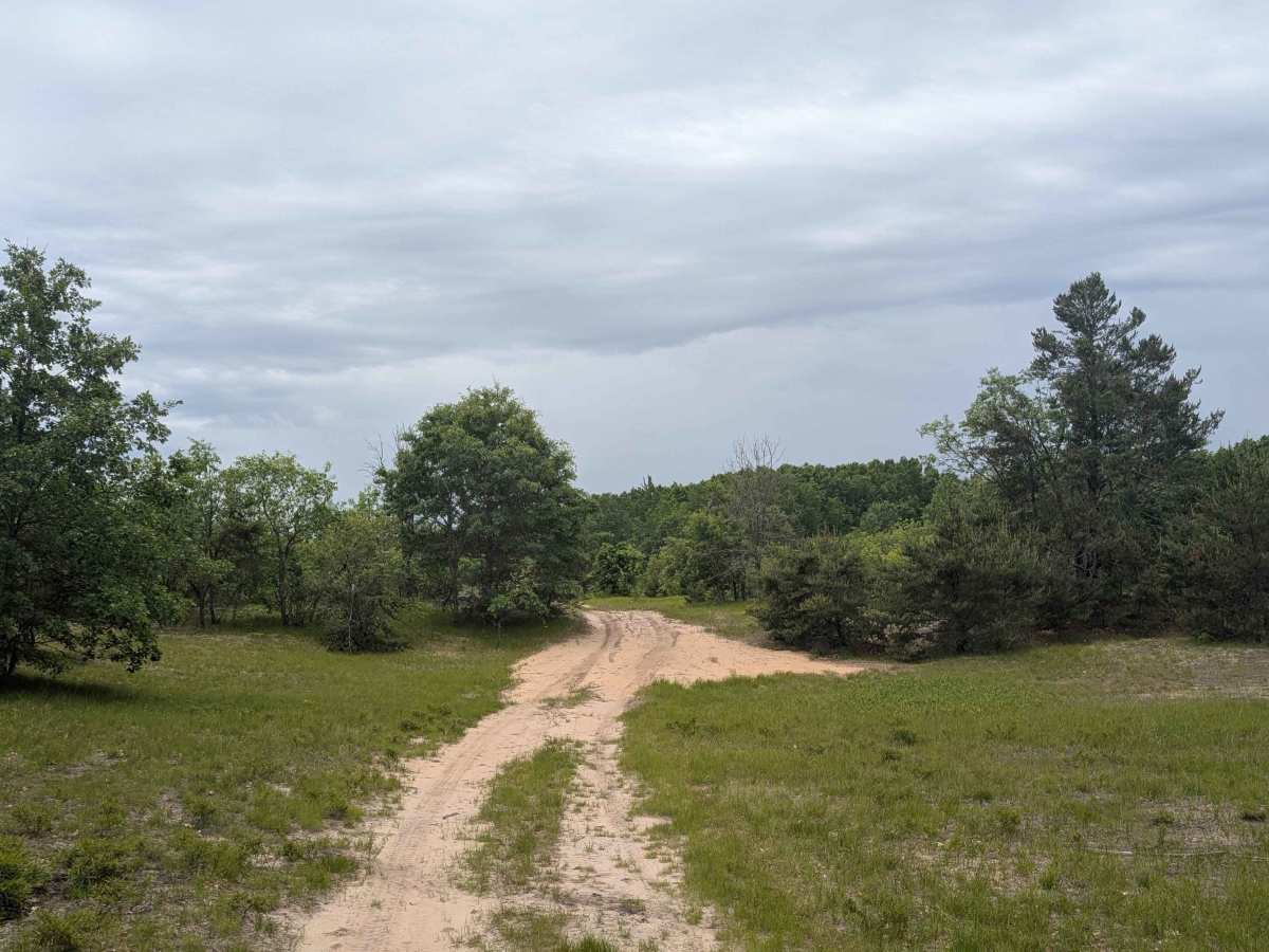Pine Road Southeast photo 4