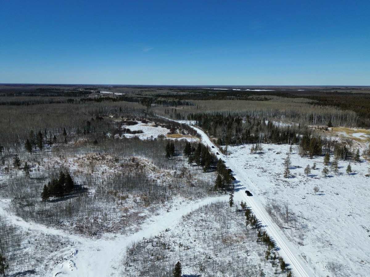 Sandilands Forestry Road 31 trail photo