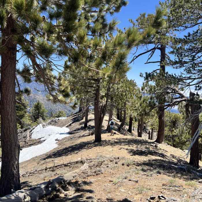 Near Crystal Lake Campground to Copter Ridge