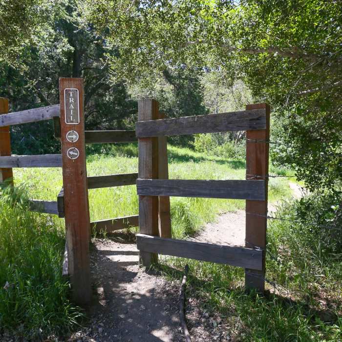 Near Reservoir Canyon Falls