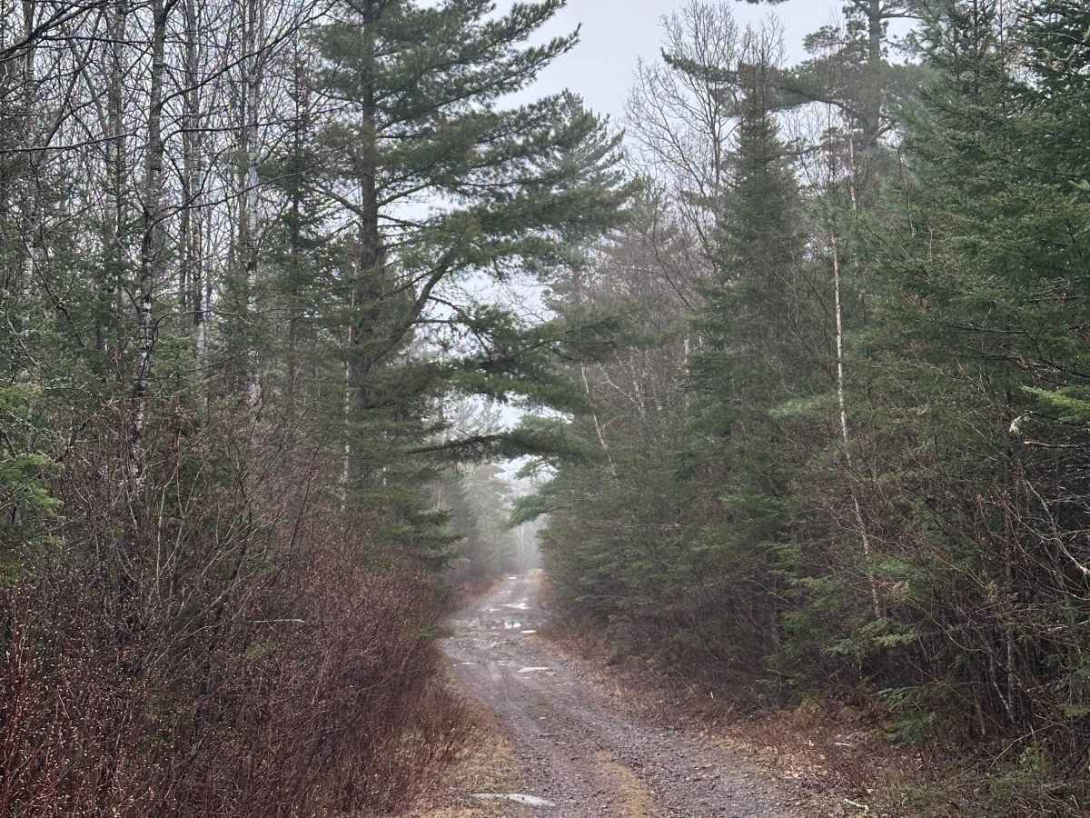 Powers Lake Road West photo 3