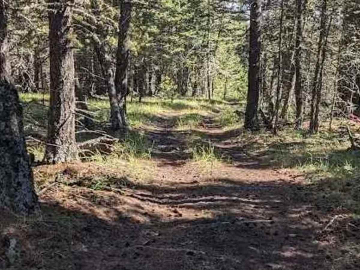 Porcupine Hills Trail 44  photo 3