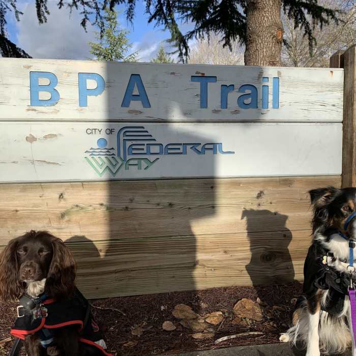 Walking the BPA Trail in Federal Way Near BPA Trail