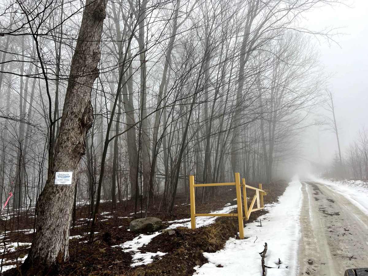 Hessel Gessel Trail photo 2