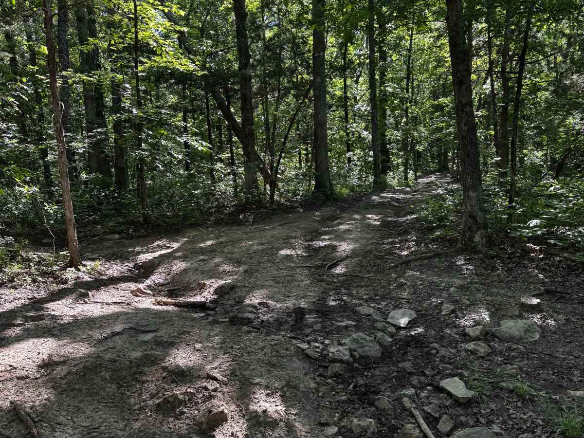 Inner Cut Thru 6 trail photo