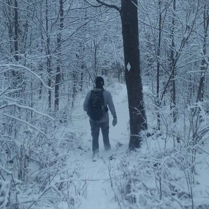 Near Twin Lakes Trail