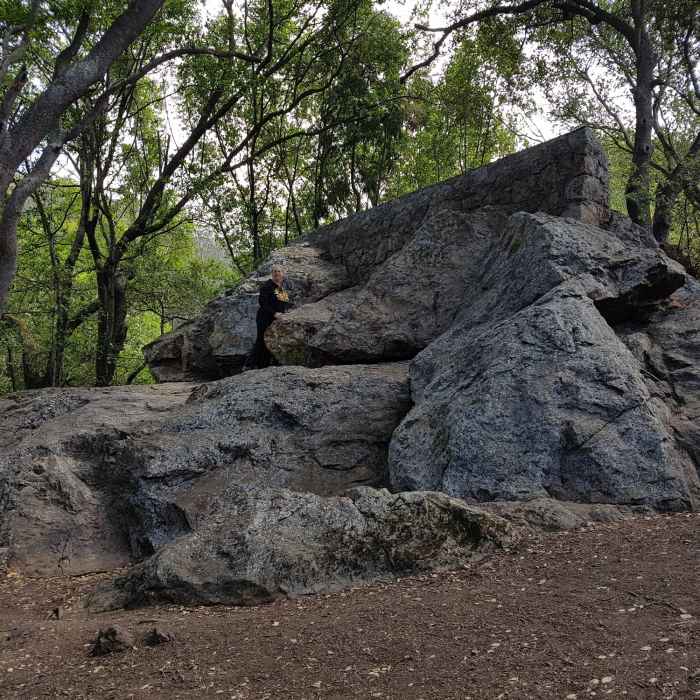 Near Alvarado Park Trail