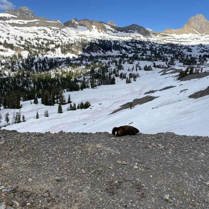 Near Teton Crest Trail - North
