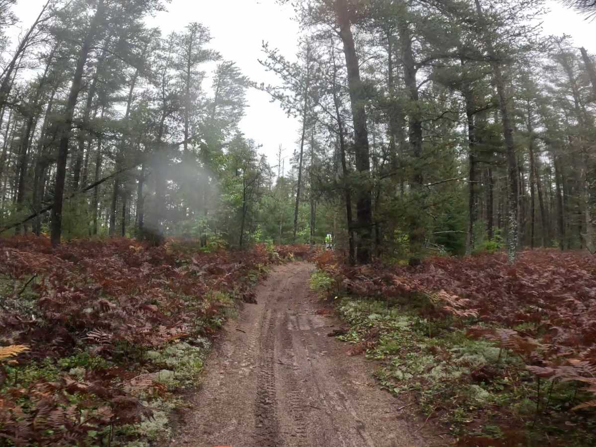 Two Hearted Trail (South) photo 5