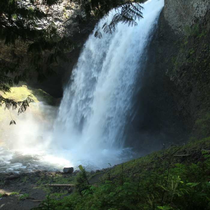 Near Moul Falls Trail