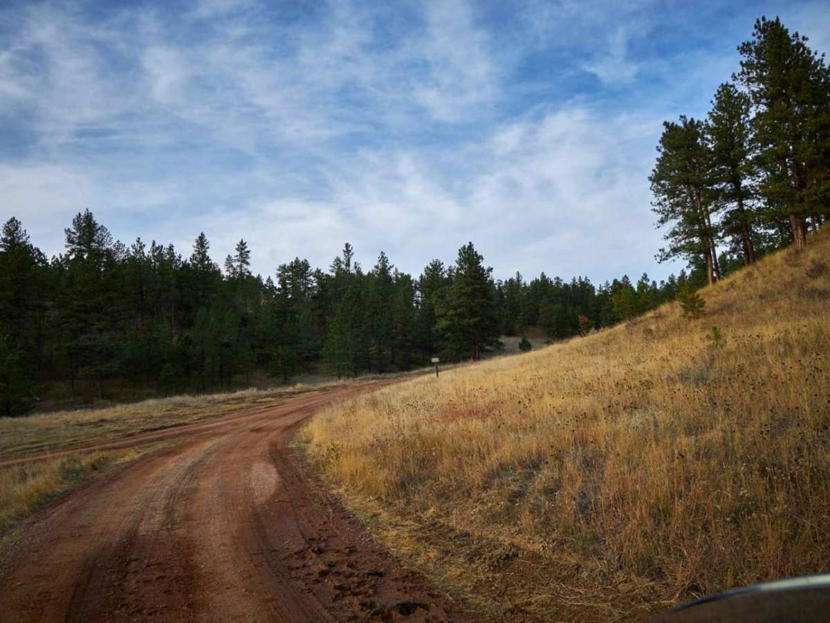 Lemonade Road Pt 2 trail photo