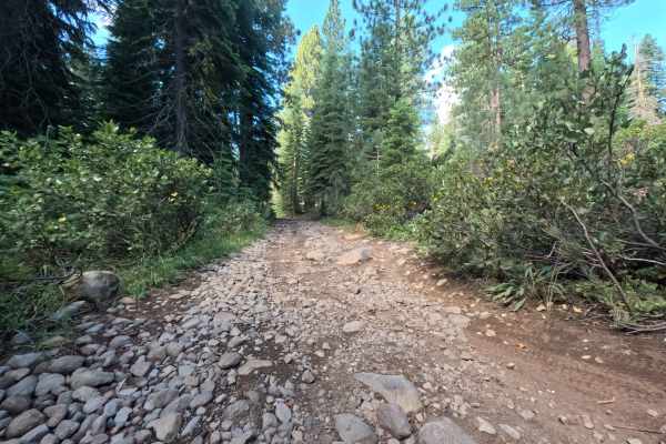 Jackass Point Spur - FS 01-003