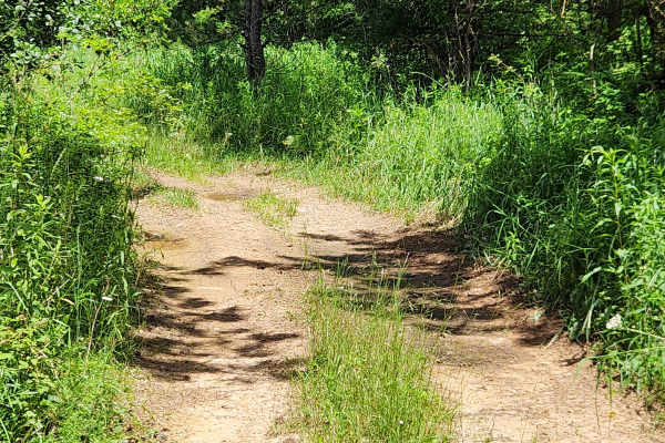 Trail 5J - Rock Run Recreation Area