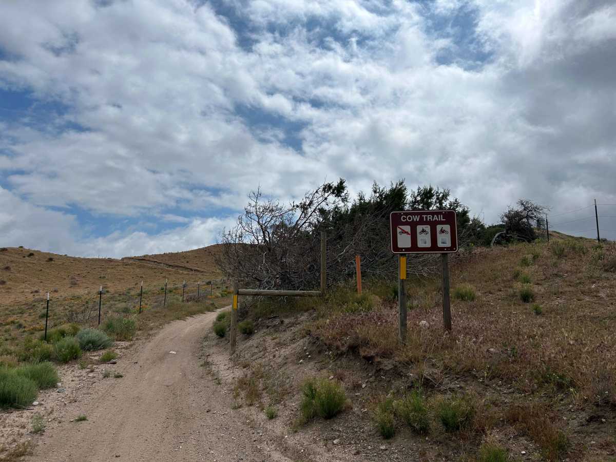 Cow Trail trail photo