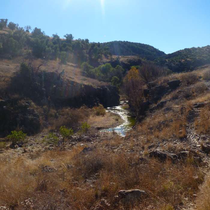 Usually some water in the canyon. Near Sycamore Canyon Trail #40