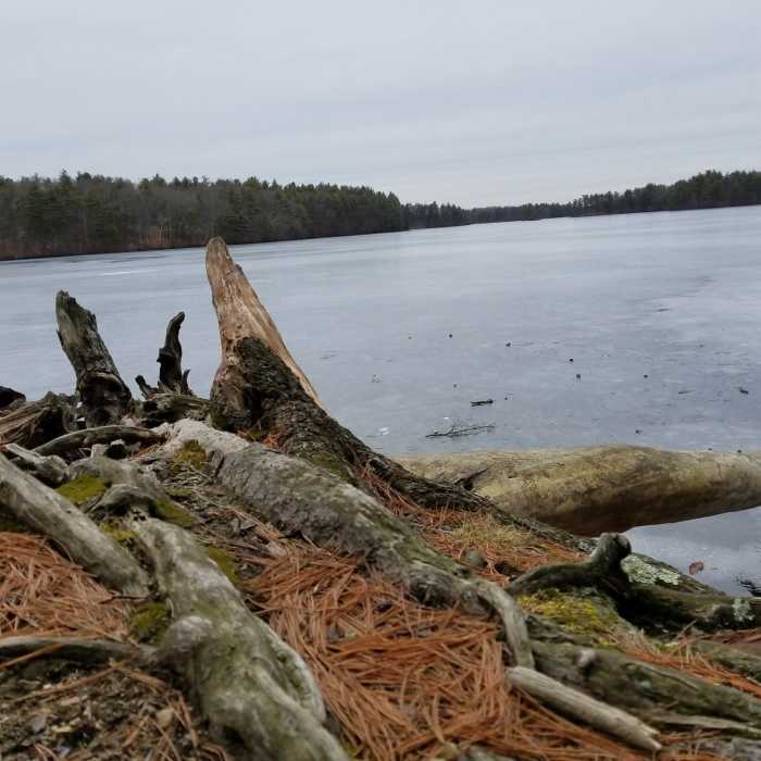 Winter Near Whitehall State Park Loop Trail