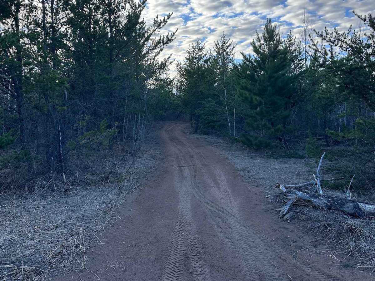 Zalesky Lake Trail trail photo
