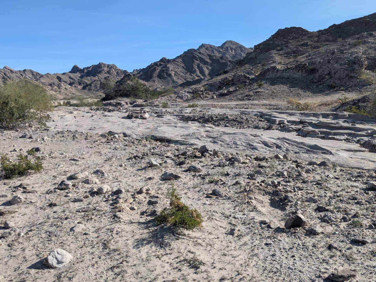 BLM 668 photo 2