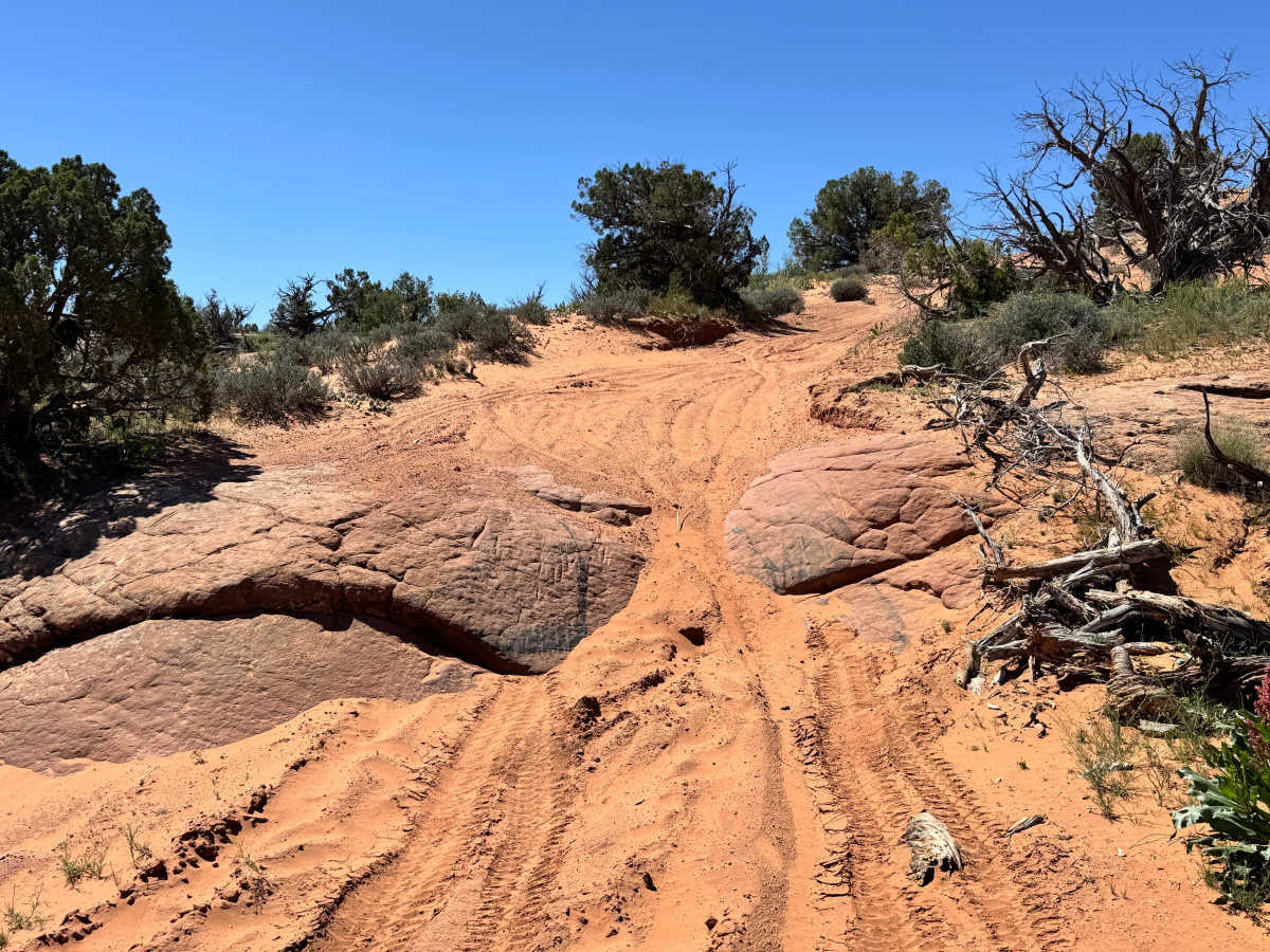 Convert Arch Trail photo 5