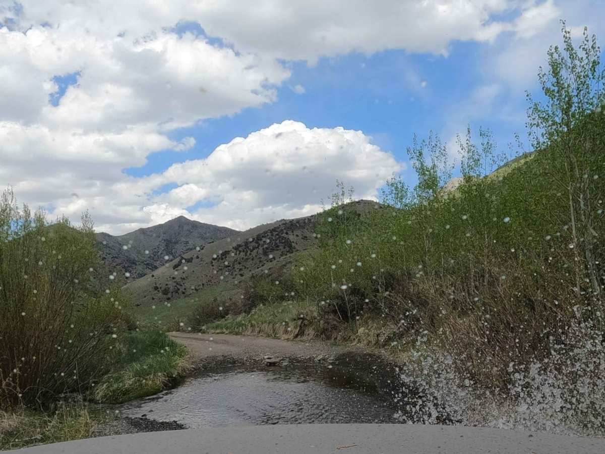 Big Creek Road - NF-012 photo 6