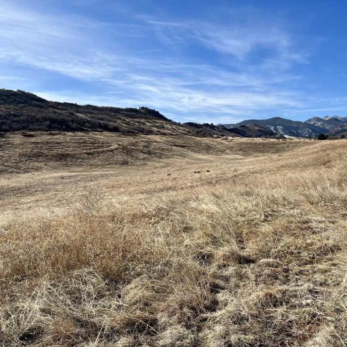 Near Red Rock, Lion, and Section 16 Loop