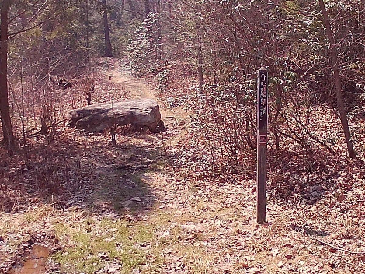 Huckleberry Road photo 5