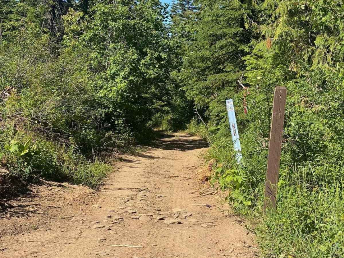Flat Creek photo 3