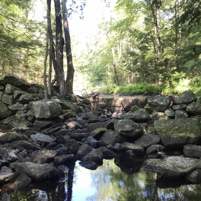 Near Fullam Pond Trail