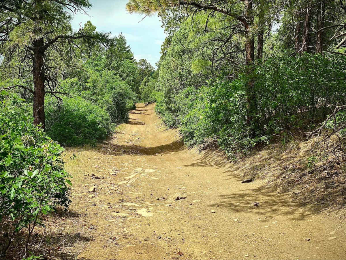 Eight Mile Mesa Rd-USFS Rd #651 trail photo