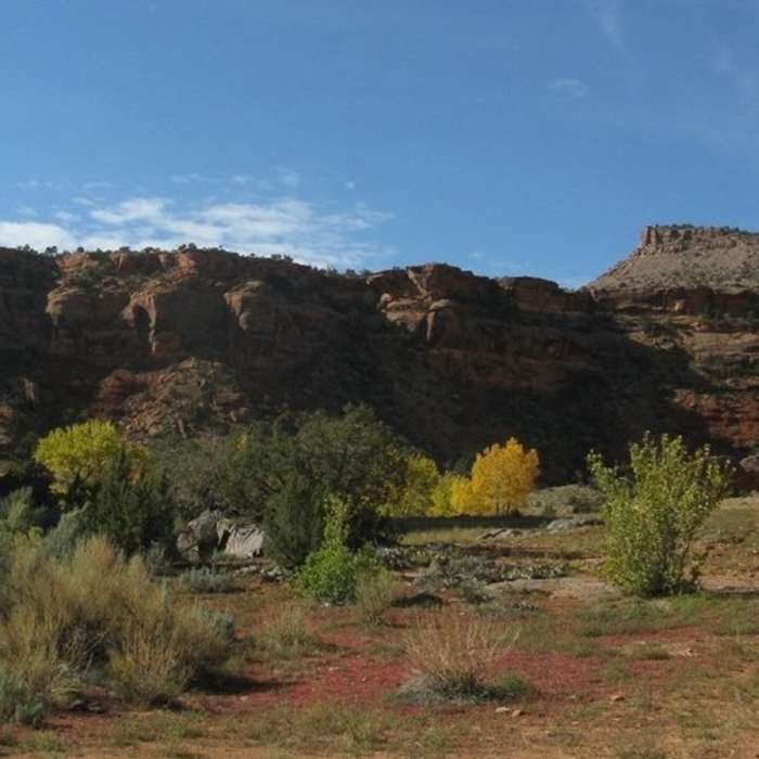 Following the old road between the red sandstone cliffs Near Big Dominguez Canyon