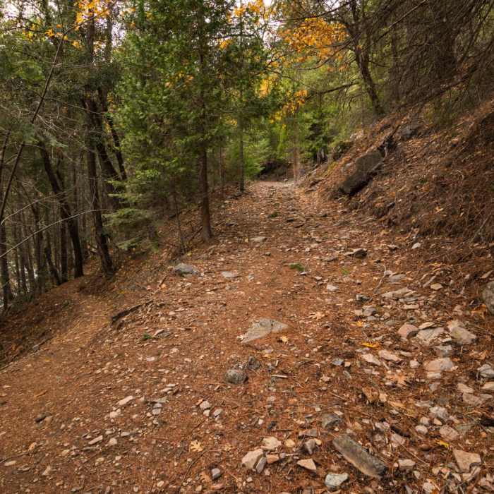 Near Faery Falls in Ney Spring Canyon