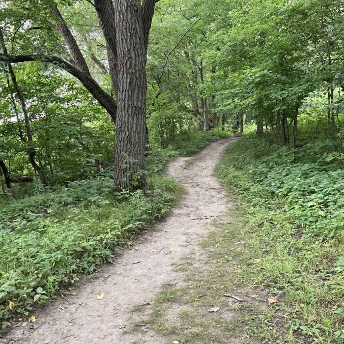 Near Hiking Club Trail