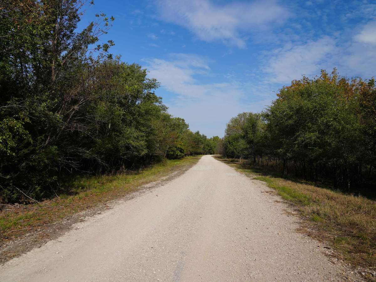 Lake Road photo 4