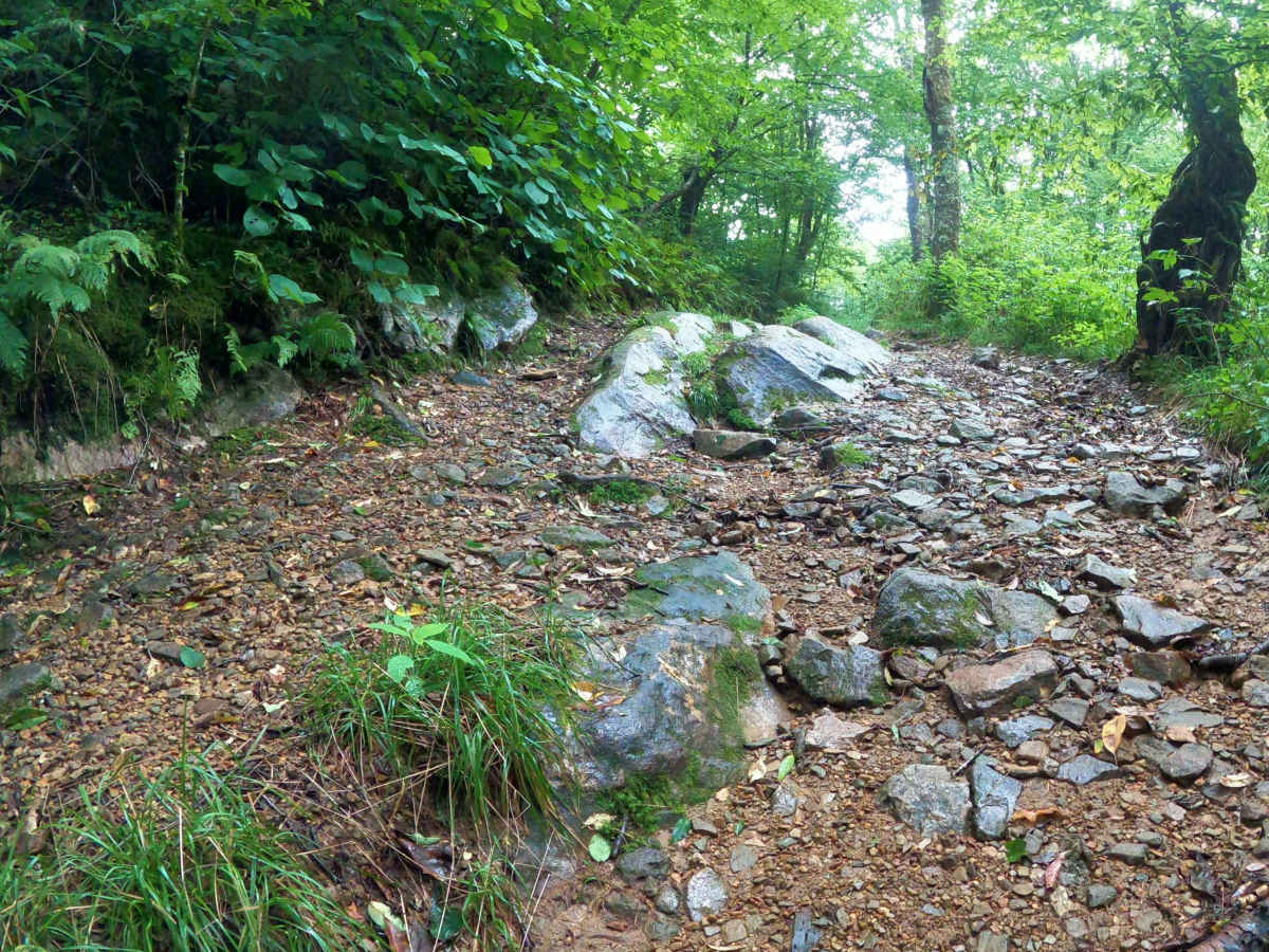 Horse Creek photo 6