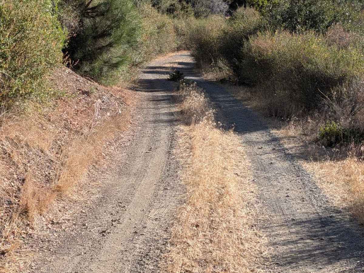  Midas Saddle Road - FS 30N16  photo 3