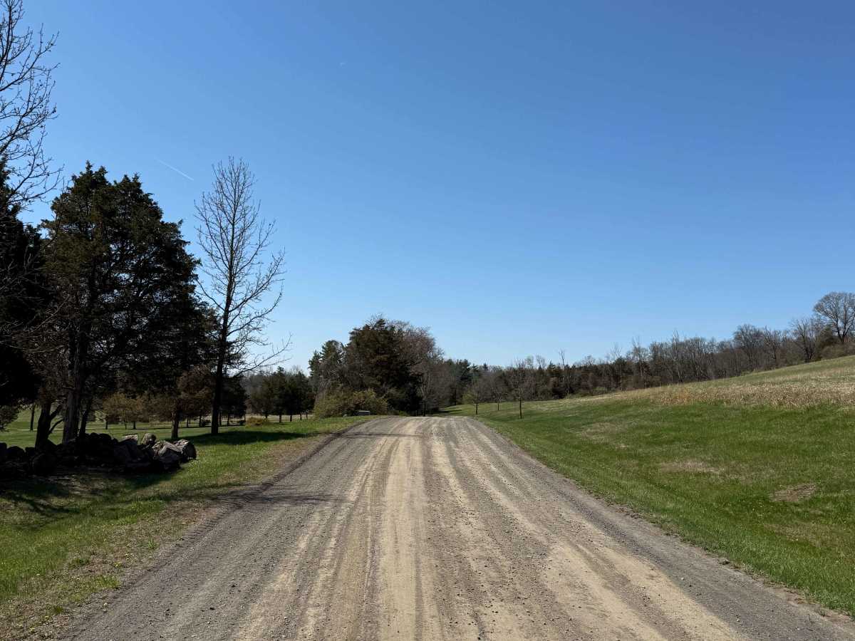 Tettemer Road photo 4