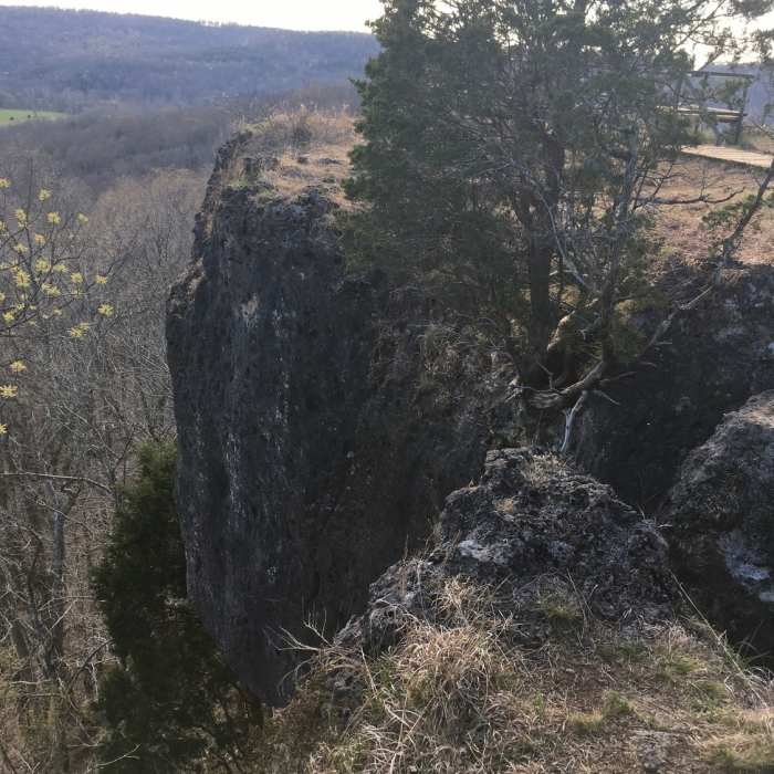 Near Buzzards Roost Rock Trail