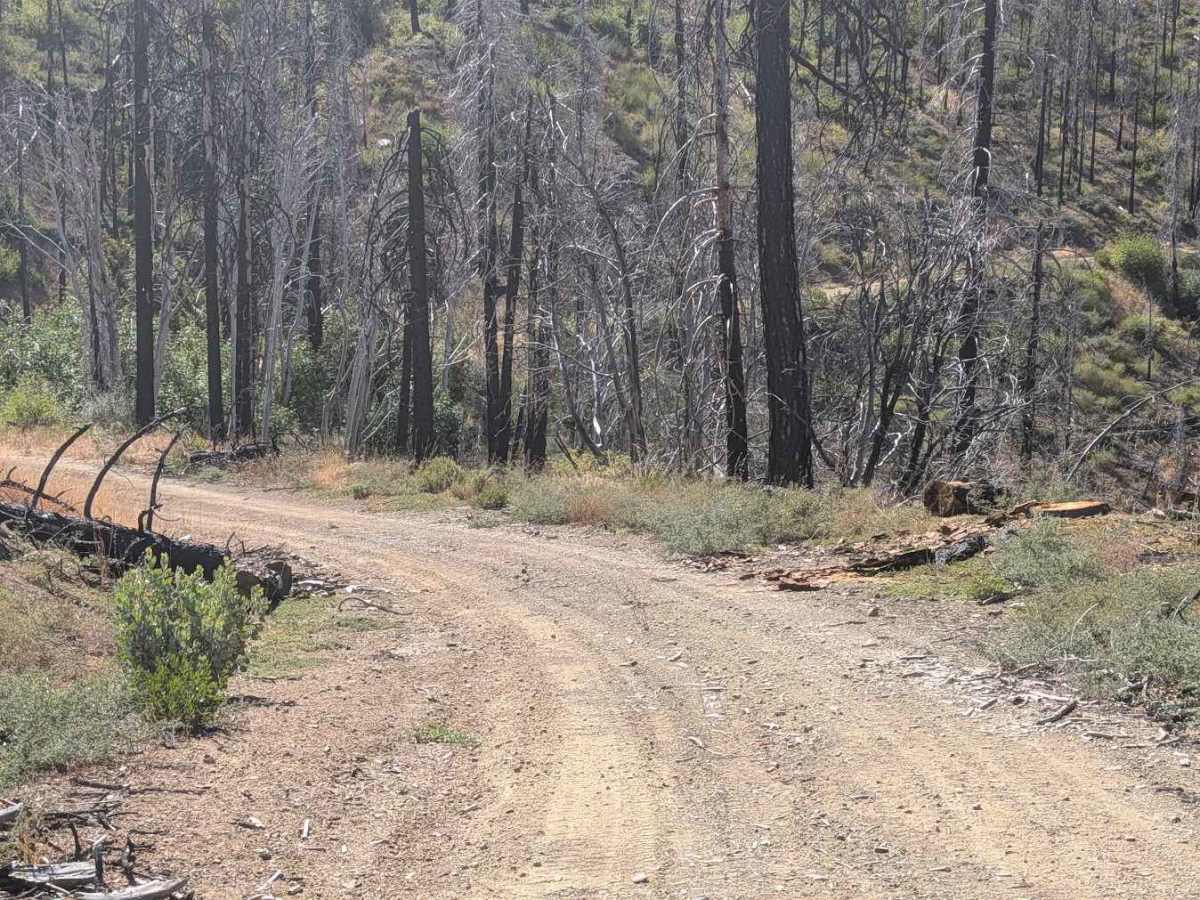 Redding Pine Road - FS 29N38 photo 2