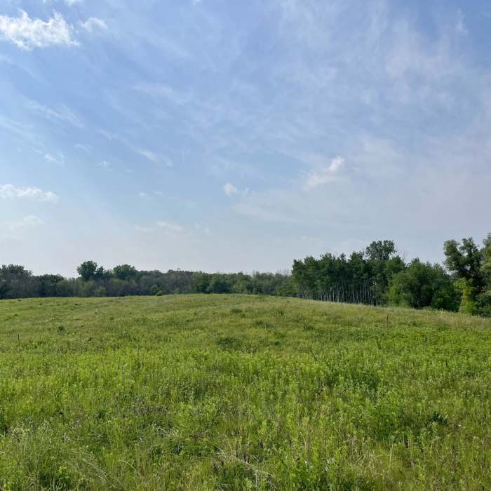 Near Bald Eagle Prairie Preserve