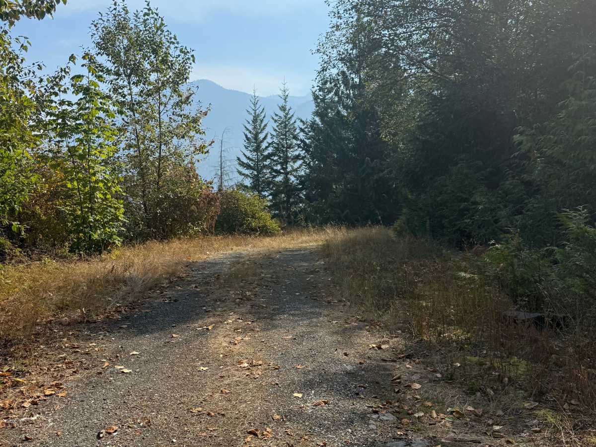 Illabot Powerline Ridge Road photo 6