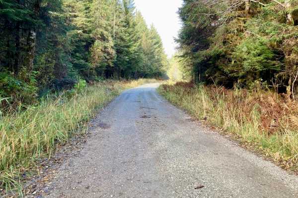 North Thorne River Road - FS 3015000