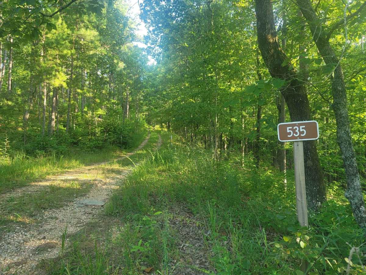 535 -  Campbell trail photo