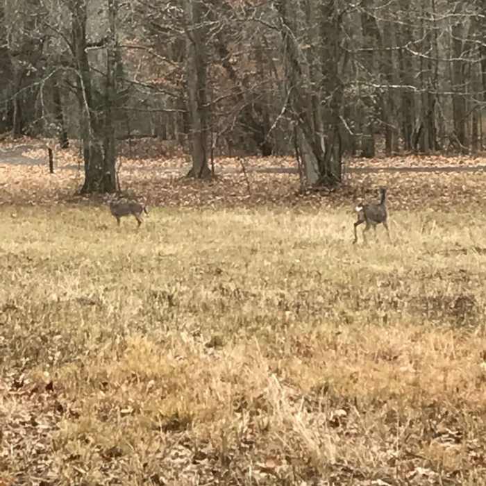 Near Mounds Inner Loop Trail