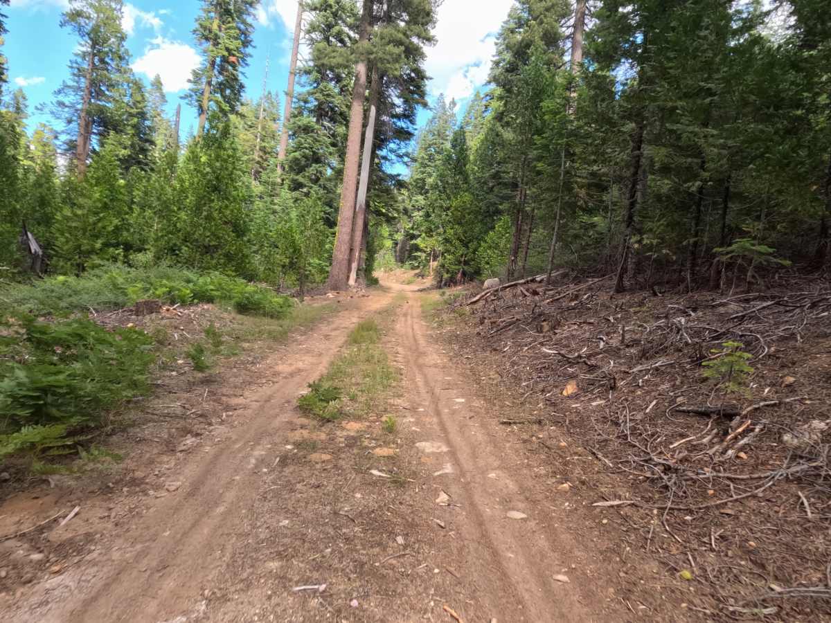 Driscoll Cabin Rd - FS 12N40 photo 3