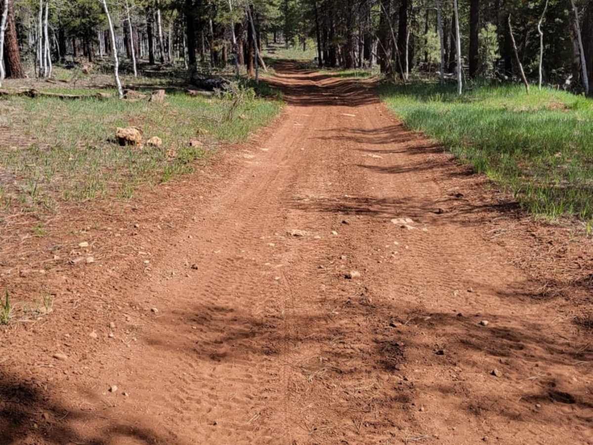 Ponderosa Loop Mini photo 4