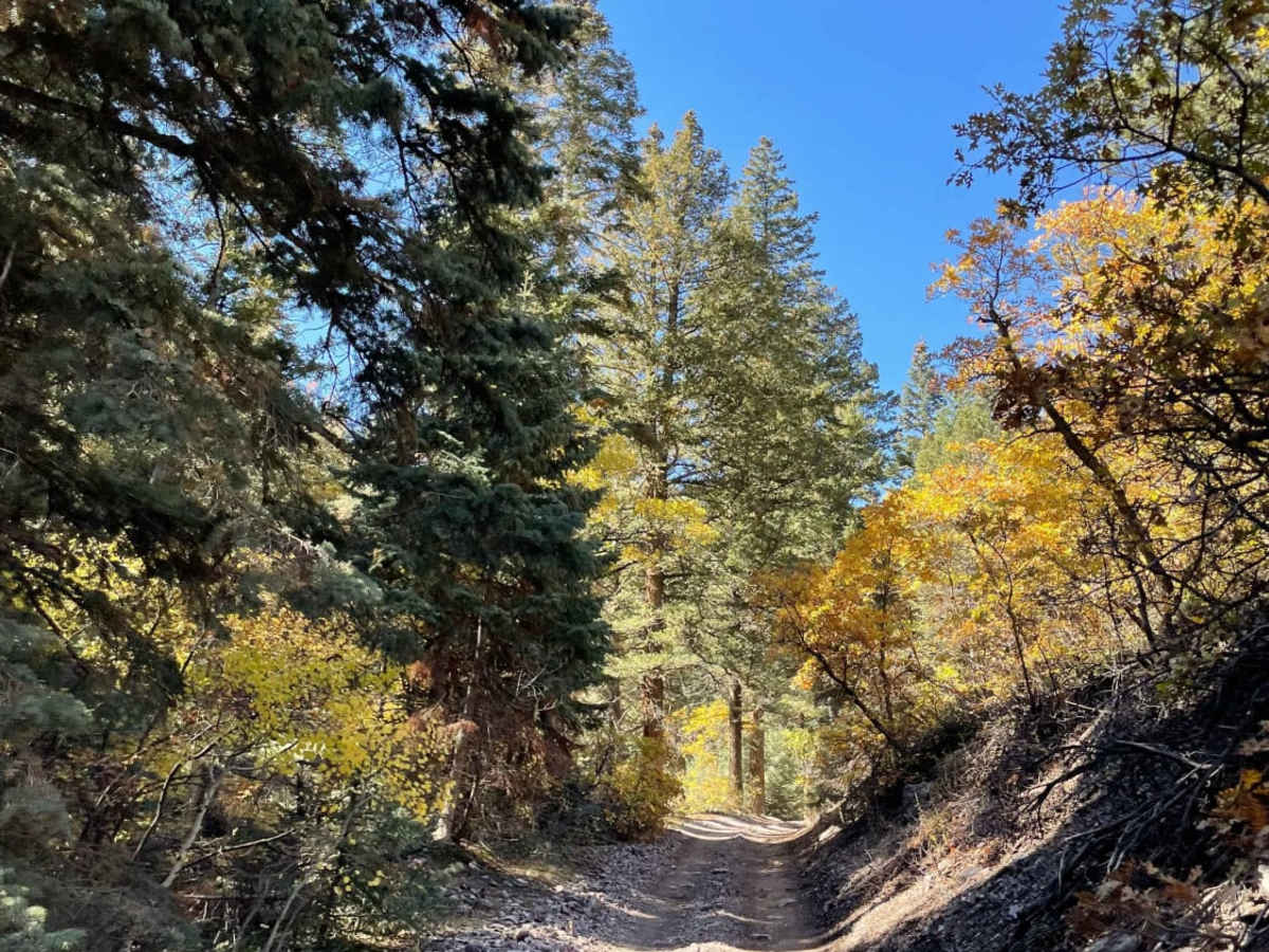 Deer Creek Trail photo 2