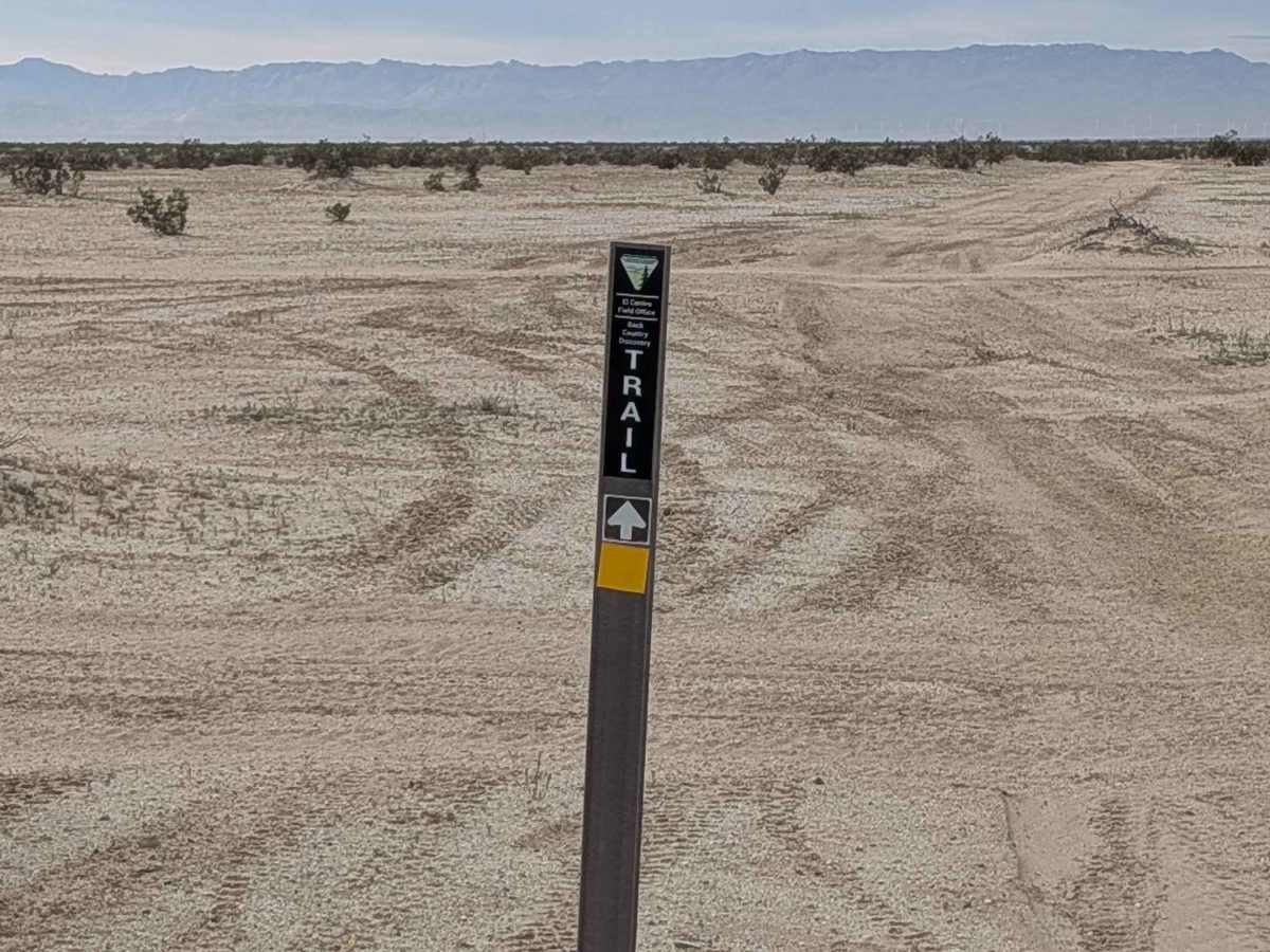 BLM 342 photo 4