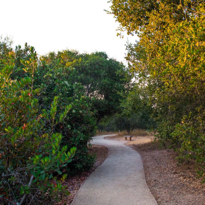 Near Nipomo Native Garden Loop Near Nipomo Native Garden Loop
