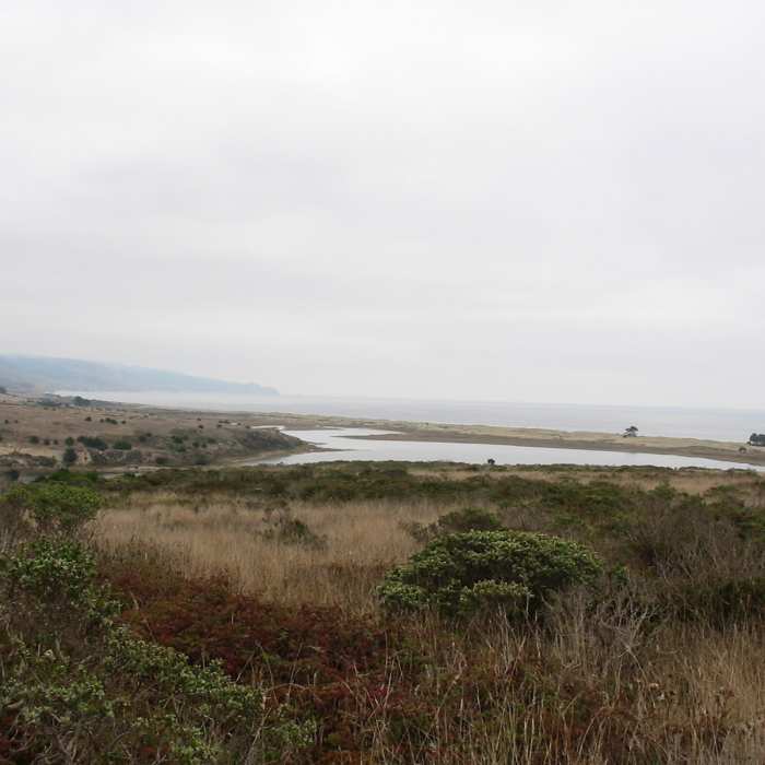 Limantour Spit from Glenbrook Trail Near Glenbrook